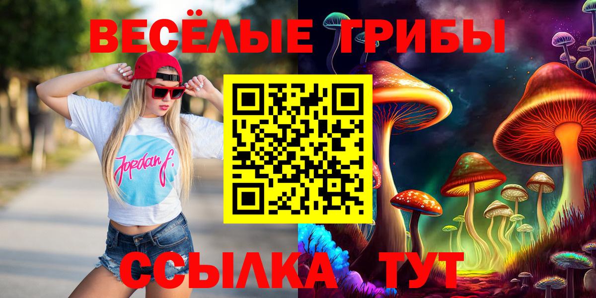 Галлюциногенные грибы Psilocybine cubensis Мичуринск
