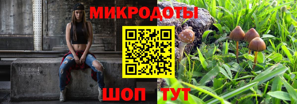 где можно купить наркотик  Вход с VPN  Мичуринск  Псилоцибиновые грибы Cubensis 